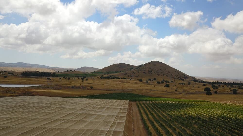 הנוף מקיבוץ אורטל ברמת הגולן