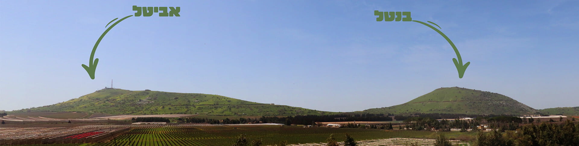 הר בנטל – כל מה שרציתם לדעת | תיירות קיבוץ אורטל