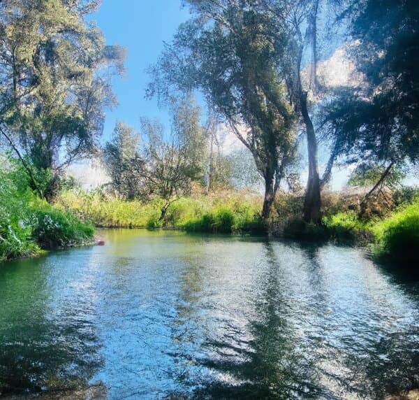 עין צנובר (גן ראובן)